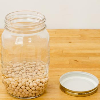 chickpeas being sprouted in a mason jar